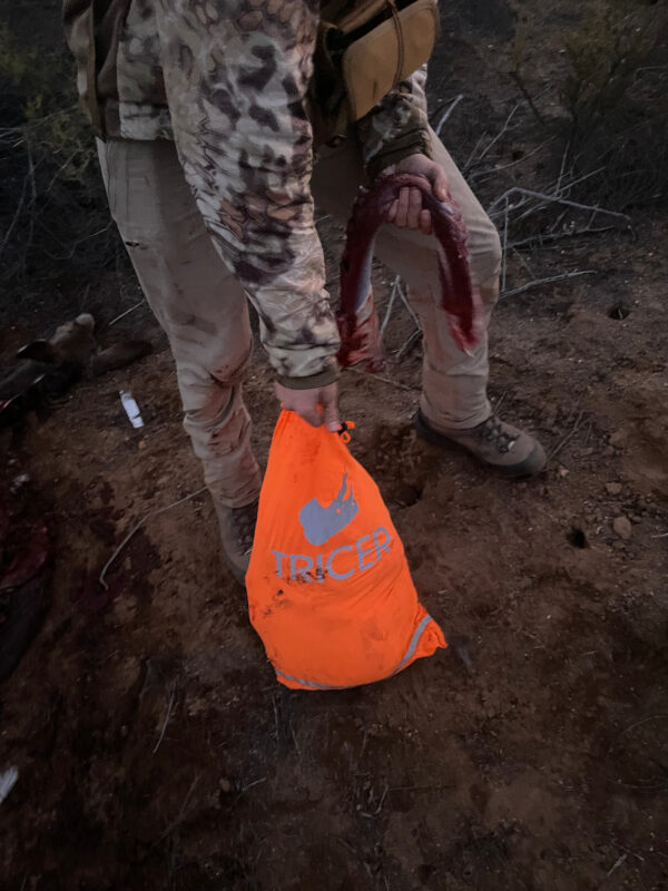 Tricer Bull Bag - Image 4